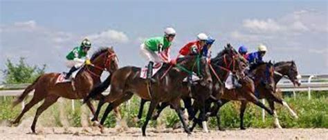 Singapore Horse Racing Tips Free: SG Pool Horse Racing Guide.
